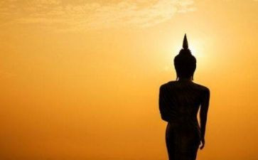 《敬畏生命》教案6篇