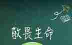 知敬畏演讲稿7篇