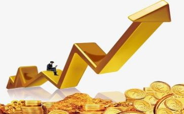 金融实习的心得体会5篇