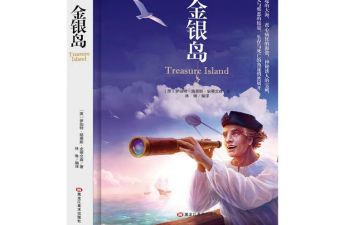 金银岛的读后感作文6篇
