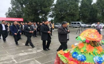 清明节祭扫活动方案模板7篇