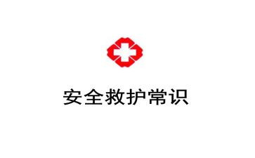 救护员讲话稿8篇