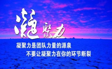 凝聚力量的心得体会7篇