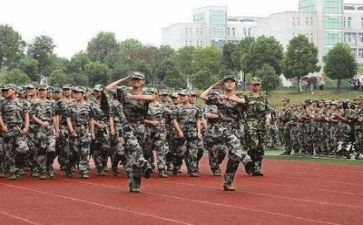 军训心得体会800通用6篇
