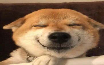 六一真开心作文7篇