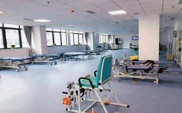 康复师述职报告8篇