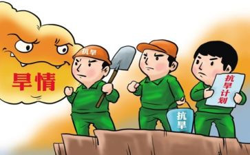 抗旱的工作总结8篇