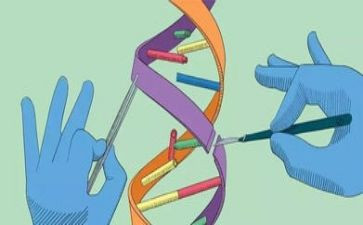 冀敎四年级科学教学计划5篇