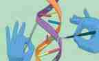 冀敎四年级科学教学计划5篇