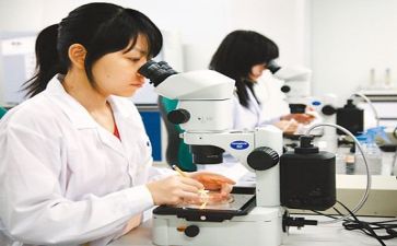 科研的工作总结5篇