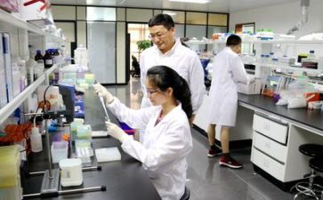 科研的工作总结模板5篇