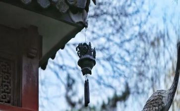 读书的苦与乐作文800字精选7篇