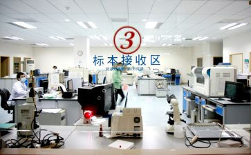 食品安全快检工作总结6篇