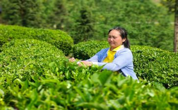 来陕讲话精神心得体会优秀6篇