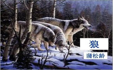 《狼》读后感600字通用5篇