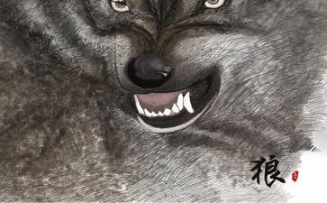 《狼》读后感300字优质8篇
