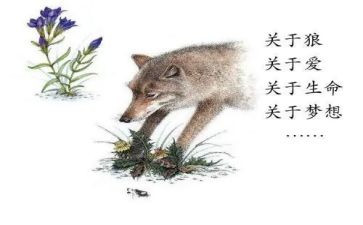 《狼王梦》的心得参考8篇