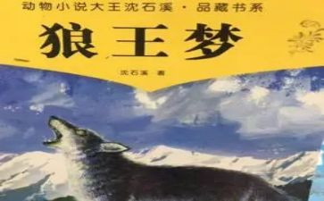 狼王梦心得模板6篇