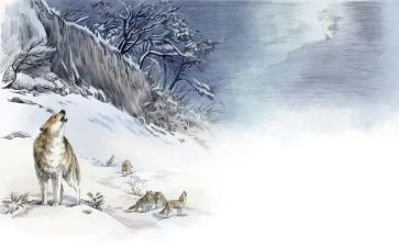 读书笔记狼王梦心得体会7篇