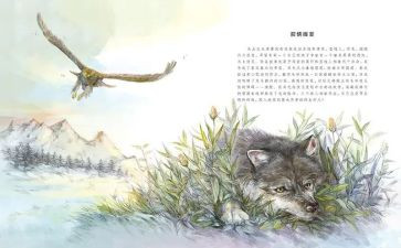 狼王梦心得推荐5篇