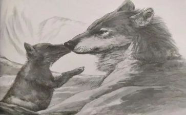 《狼王梦》的作文6篇