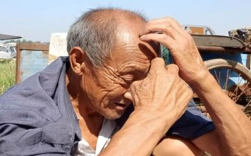老人活动方案模板7篇