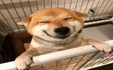 音乐社年终总结8篇