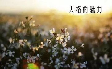 艺术魅力的作文7篇