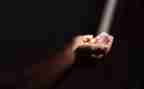 的魅力作文最新7篇