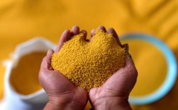 幼儿园全国粮食安全宣传周活动总结5篇