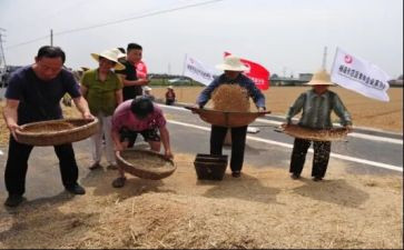 关于粮食节约的演讲稿5篇