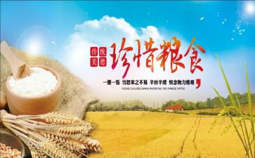 粮食节约的演讲稿6篇