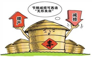 粮食节约的演讲稿通用8篇