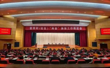 2024年村支两委工作总结5篇
