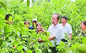 观李保国心得体会6篇