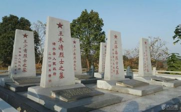 烈士扫墓活动方案5篇