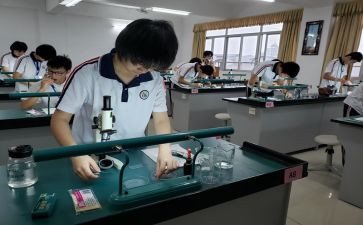 理化生教研工作计划教研组工作计划8篇