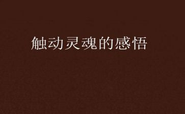 爱是教育的灵魂的演讲稿8篇