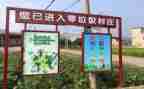 捡垃圾演讲稿5篇