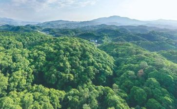 2024年林业站工作计划推荐7篇