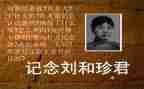 我是刘和珍的作文精选5篇