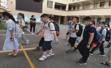 小学五六年级教学计划7篇