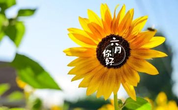 幼儿园大大班六月份工作总结6篇