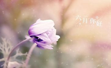 六月教师工作总结8篇