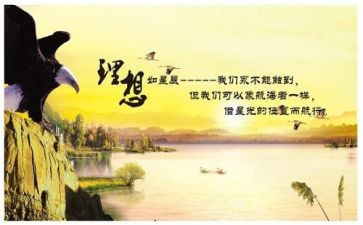 《我的理想》演讲稿300字8篇