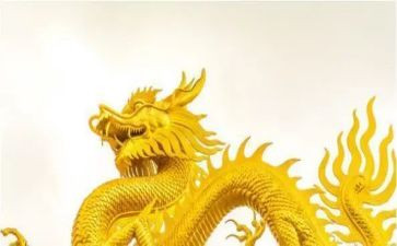 龙的调研报告模板6篇