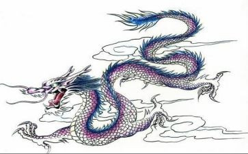 龙的传人的读后感优秀7篇