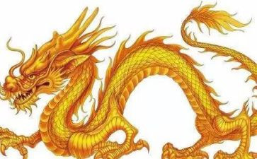 龙的调研报告推荐7篇