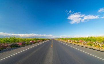 观看《路》心得体会最新8篇