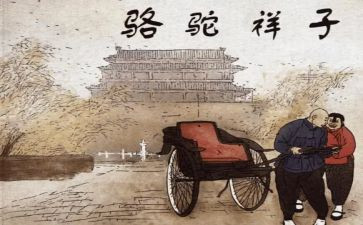 骆驼的读后感推荐5篇